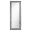 CoasterEssence 961636 Valerie - Acrylic Crystal Floor Mirror - Silver