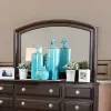 Furniture of America CM7383M Litchville - Mirror - Brown Cherry