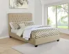 CoasterEssence 300007F Chloe - Upholstered Full Panel Bed - Oatmeal