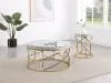 CoasterEveryday 710367 Elise - Round Mirror Top Stainless Steel End Table - Gold