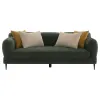 Coaster Fine Furniture 509131 Jade - Chenille Upholstered Modern Track Arm Sofa - Green