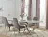 CoasterElevations 108811-S5G Antoine - 5 Piece Rectangular Glass Top Dining Table Set - Gray