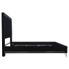 New Classic 00-B1891-200 New Classic 00-B1891-200 Ava - 6/0 Western King Bed - Black
