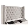 Furniture of America CM7679IV-Q-VN Mirabelle - Queen Bed - Ivory