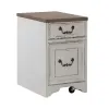 Liberty Furniture 244-HO145 Magnolia Manor - Mobile File - Antique White