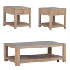 Liberty Furniture 922-OT-3PCS Millstone - 3 Piece Set (1 Cocktail 2 End Tables) - Nutmeg
