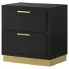 Coaster Fine Furniture 224782 Caraway - 2-Drawer Nightstand - Black