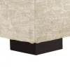 Furniture of America FM64201BG-SF Ardenfold - Sofa - Beige