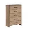 New Classic B2123-070 Anika - 5 Drawer Chest - Natural / Brown