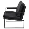 Coaster Fine Furniture 903021 Rosalind - Upholstered Track Arm Accent Chair - Black