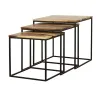 CoasterElevations 931182 Belcourt - 3 Piece Square Nesting Tables - Natural And Black