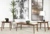 CoasterEssence 753524 Radley - 3 Piece Rectangular Coffee Table Set - Natural Walnut