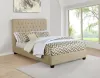 CoasterEssence 300007Q Chloe - Upholstered Queen Panel Bed - Oatmeal