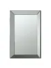 CoasterEveryday 901783 Pinciotti - Beveled Frame Wall Mirror - Silver