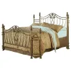 CoasterEssence 300171Q Sydney - Metal Queen Open Frame Bed - Antique Brushed Gold