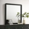 Coaster Fine Furniture 223664 Cavelle - Dresser Mirror - Black
