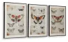 Ashley Furniture A8000490 Jossletts - Wall Art Set (Set of 3) - Orange / Black / Ivory