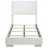 CoasterEssence 203500T Felicity - Wood Twin LED Panel Bed - White High Gloss