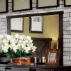 Furniture of America CM7734M Bianca - Mirror - Dark Walnut