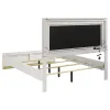 Coaster Fine Furniture 224771Q Caraway - Wood Queen LED Panel Bed - White
