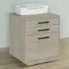 CoasterEssence 805882 Loomis - 3-Drawer Home Office File Cabinet - Whitewashed Gray