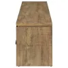 Coaster Fine Furniture 701980 Elkton - 2-Drawer Engineered Wood TV Stand - Mango
