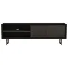 Coaster Fine Furniture 703003 Marsden - 2 Door Mango Wood TV Stand - Charcoal Black
