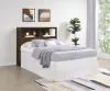 Coaster Fine Furniture 315881F Westpark - Full Bookcase Headboard - Dark Pine