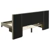 Coaster Fine Furniture 300833Q Marley - Upholstered Queen Platform Bed With Headboard Panels - Light Brown And Walnut