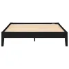 CoasterEveryday 306129KE Hounslow - Eastern King Universal Platform Bed - Black