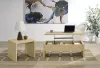 Coaster Fine Furniture 706348-S2 Canoga - 2 Piece Lift Top Cocktail Coffee Table Set - Light Oak