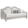 Coaster Fine Furniture 360121 Evangeline - Upholstered Twin Daybed - Silver Oak