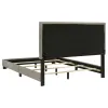 Coaster Fine Furniture 300851F Dorian - Fabric Upholstered Full Panel Bed - Taupe