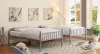 Furniture of America CM-BK1035SV Rainbow - Twin Over Twin Bunk Bed - Silver - Metal