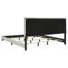 Coaster Fine Furniture 300852KW Dorian - Fabric Upholstered California King Panel Bed - Cream