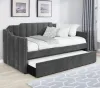 CoasterEssence 315962 Kingston - Upholstered Twin Daybed With Trundle - Charcoal