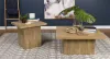 Coaster Fine Furniture 708067 Devar - Square Engineered Wood End Table - Mango Brown