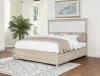 Coaster Fine Furniture 215921KW Pembroke - 66