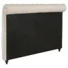 CoasterEssence 300525KEB1 Devon - Upholstered Eastern King Panel Headboard - Beige
