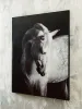 Ashley Furniture A8000409 Archerwick - Wall Art - Black / White