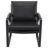 Coaster Fine Furniture 903021 Rosalind - Upholstered Track Arm Accent Chair - Black