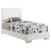 CoasterEssence 203500T Felicity - Wood Twin LED Panel Bed - White High Gloss