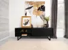 Coaster Fine Furniture 703003 Marsden - 2 Door Mango Wood TV Stand - Charcoal Black