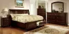 Furniture of America CM7682M Northville - Mirror - Dark Cherry