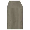 CoasterEssence 701024 Burke - 2-Drawer Engineered Wood TV Stand - Gray Driftwood