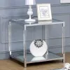 Furniture of America CM4153E Ludvig - End Table - Chrome / Clear