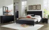 Ashley Furniture B1013/231/36/345/56/58/95/B100-14 Danziar - 7 Pc. - Dresser, Mirror, Chest, King Panel Bed - Black