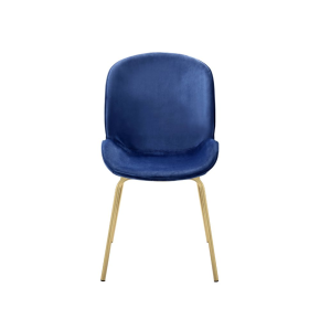 ACME 72947 Chuchip - Side Chair (Set of 2) - Blue Velvet & Gold