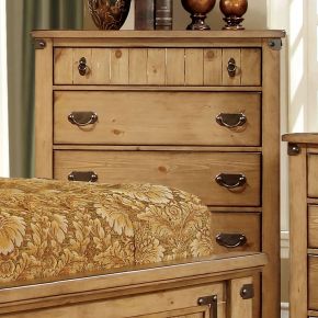 Furniture of America CM7449C Pioneer - Chest - Weathered Elm