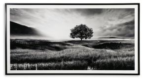 Ashley Furniture A8000341 Deborland - Wall Art - Black / White